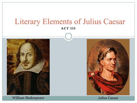 literary elements in julius caesar